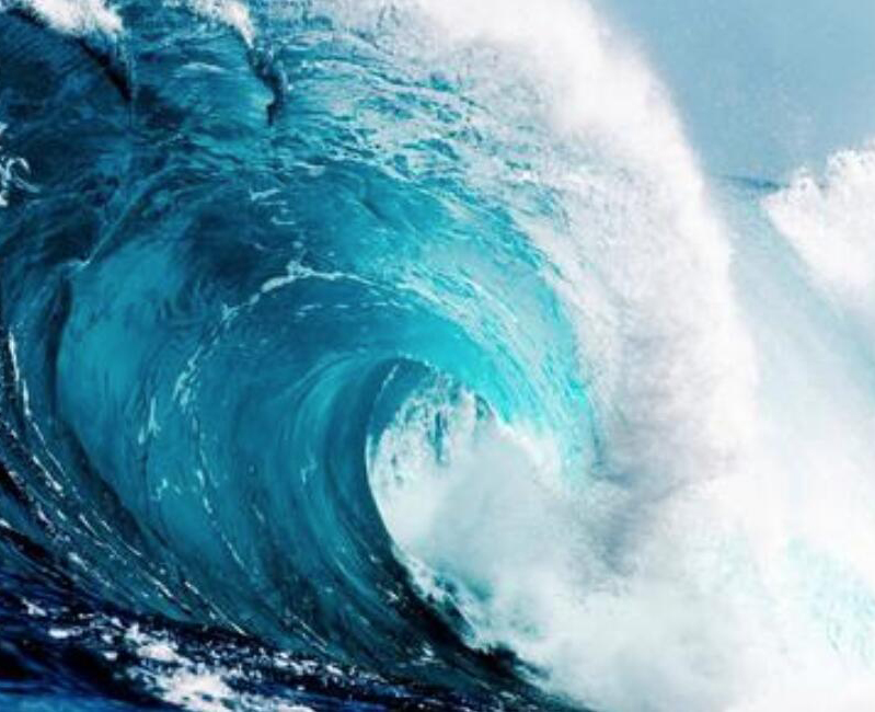 【財經(jīng)翻譯官】浪奔、浪流