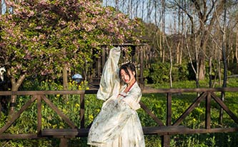 徜徉櫻花花海，來場(chǎng)動(dòng)漫之旅