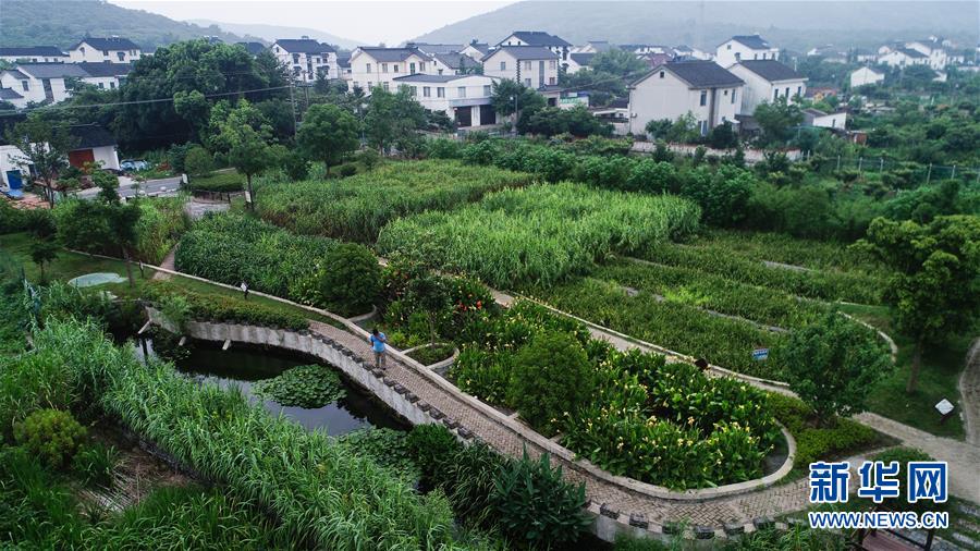 （在習近平新時代中國特色社會主義思想指引下——新時代新作為新篇章·圖文互動）（1）稀奇！治污濕地成了休閑公園——江蘇蘇州全域推進農(nóng)村生活污水治理