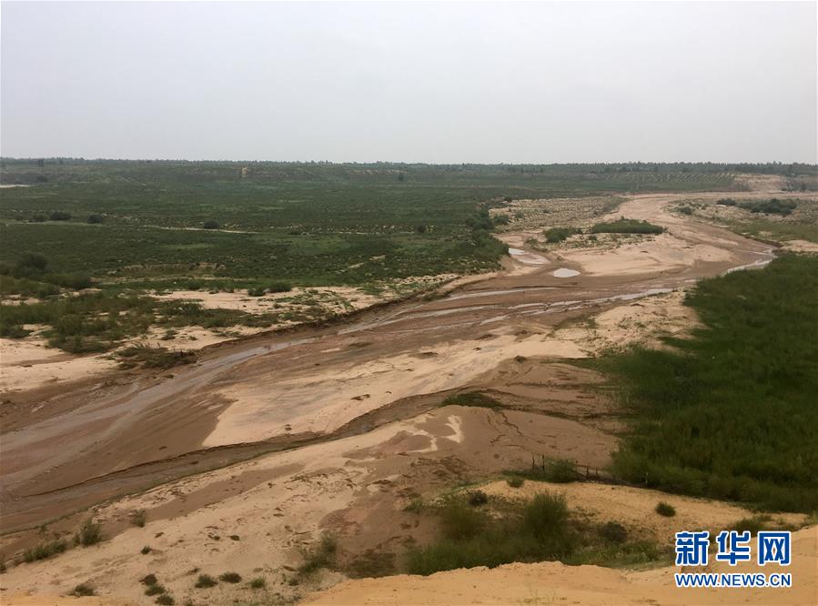 (新華全媒頭條·在習(xí)近平新時(shí)代中國(guó)特色社會(huì)主義思想指引下——新時(shí)代新作為新篇章·圖文互動(dòng))(5)綠富同興畫(huà)卷在沙海中鋪展——庫(kù)布其沙漠生態(tài)治理紀(jì)實(shí)