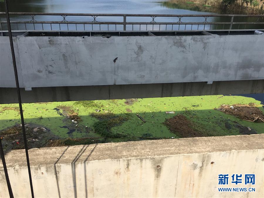 （新華視點(diǎn)·圖文互動(dòng)）（2）上游洪水來襲下游魚蟹死亡，泄洪為何變泄污？