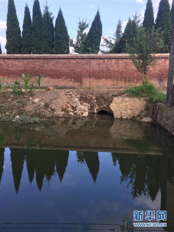 （新華視點(diǎn)·圖文互動(dòng)）（3）上游洪水來襲下游魚蟹死亡，泄洪為何變泄污？