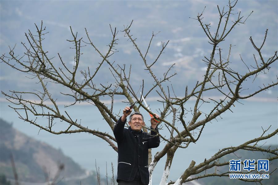 （兩會前夕看落實·圖文互動）（6）春風(fēng)涌動兩江潮——重慶落實習(xí)近平總書記全國兩會重要講話精神紀實
