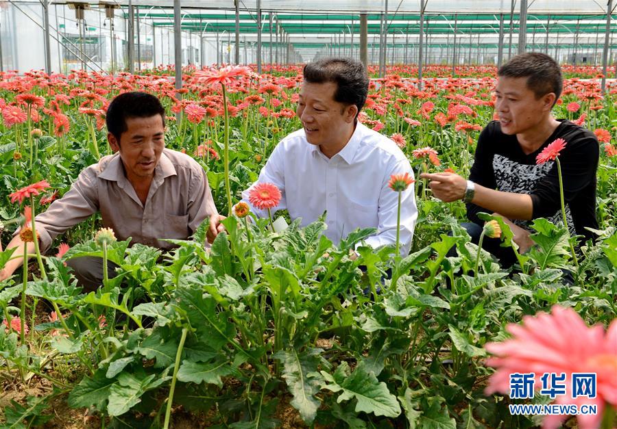 （新華全媒頭條·愛國情 奮斗者·圖文互動(dòng)）（8）致敬，為祖國獻(xiàn)身的英雄！
