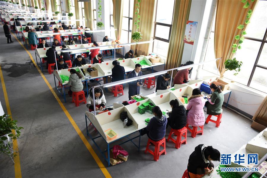 （在習(xí)近平新時(shí)代中國(guó)特色社會(huì)主義思想指引下——新時(shí)代新作為新篇章·圖文互動(dòng)）（5）“搬遷到哪里，服務(wù)就延伸到哪里”——貴州推進(jìn)易地扶貧搬遷“后半篇文章” 