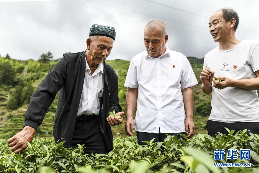 （新華全媒頭條·圖文互動）（7）同心援疆，“壯闊”祖國西北角