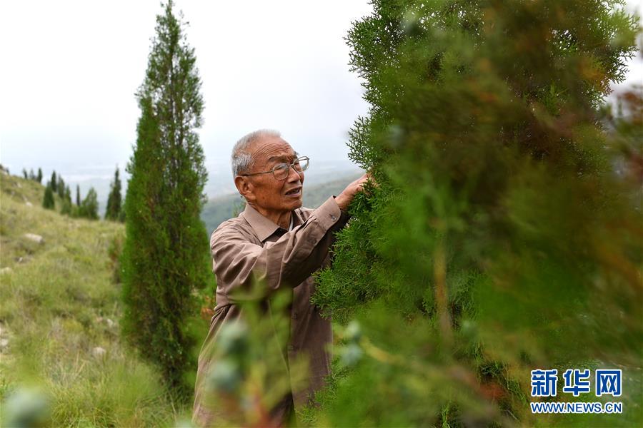 （在習(xí)近平新時(shí)代中國特色社會主義思想指引下——新時(shí)代新作為新篇章·圖文互動(dòng)）（5）中條山下綠意濃——一個(gè)“資源窮縣”的生態(tài)發(fā)展之路