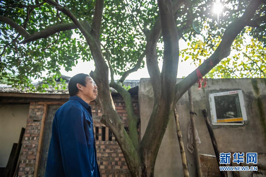 （新華全媒頭條·圖文互動(dòng)）（7）書(shū)寫新的轉(zhuǎn)折——寫在革命老區(qū)遵義全面脫貧之際