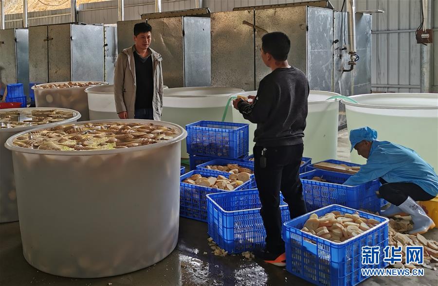（決戰(zhàn)決勝脫貧攻堅·圖文互動）掛牌督戰(zhàn)，一個都不能少——江西確保剩余9.6萬貧困人口全部脫貧