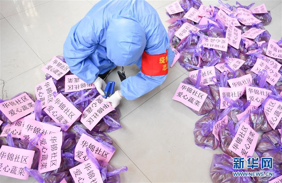 （習近平致敬的戰(zhàn)“疫”英雄·志愿者篇·圖文互動）（11）他們，微光成炬照征程