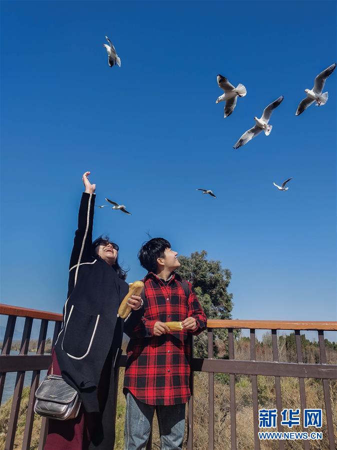 （一線抗疫群英譜·圖文互動）（1）大學生志愿者譚藝西：在武漢，我和媽媽共戰(zhàn)“疫”