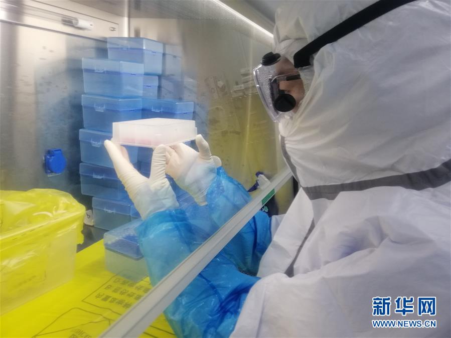 （一線抗疫群英譜·圖文互動）（2）“95后”大學(xué)生郝鶯歌：退掉車票，她選擇直面病毒