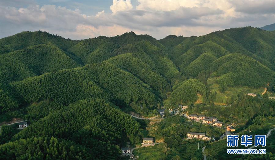 （新華全媒頭條·走向我們的小康生活·圖文互動）（2）神山村“神奇”何在？——井岡山深處覓答案