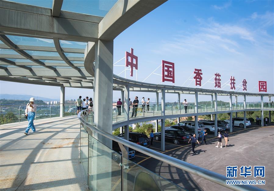 （新華全媒頭條·走向我們的小康生活·圖文互動(dòng)）（2）特殊之年，荊楚大地書(shū)寫(xiě)不平凡的答卷
