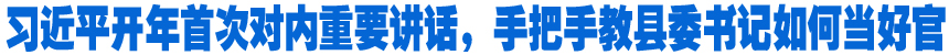 習(xí)近平開年首次對內(nèi)重要講話，手把手教縣委書記如何當(dāng)好官