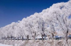 全國(guó)初雪時(shí)間表出爐 看看你離初雪還有多遠(yuǎn)？