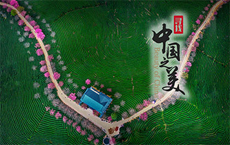 江山如畫，想把春的故事講給你聽