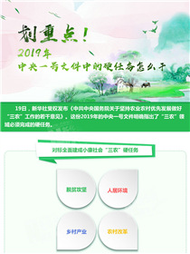劃重點！2019年中央一號文件中的硬任務怎么干