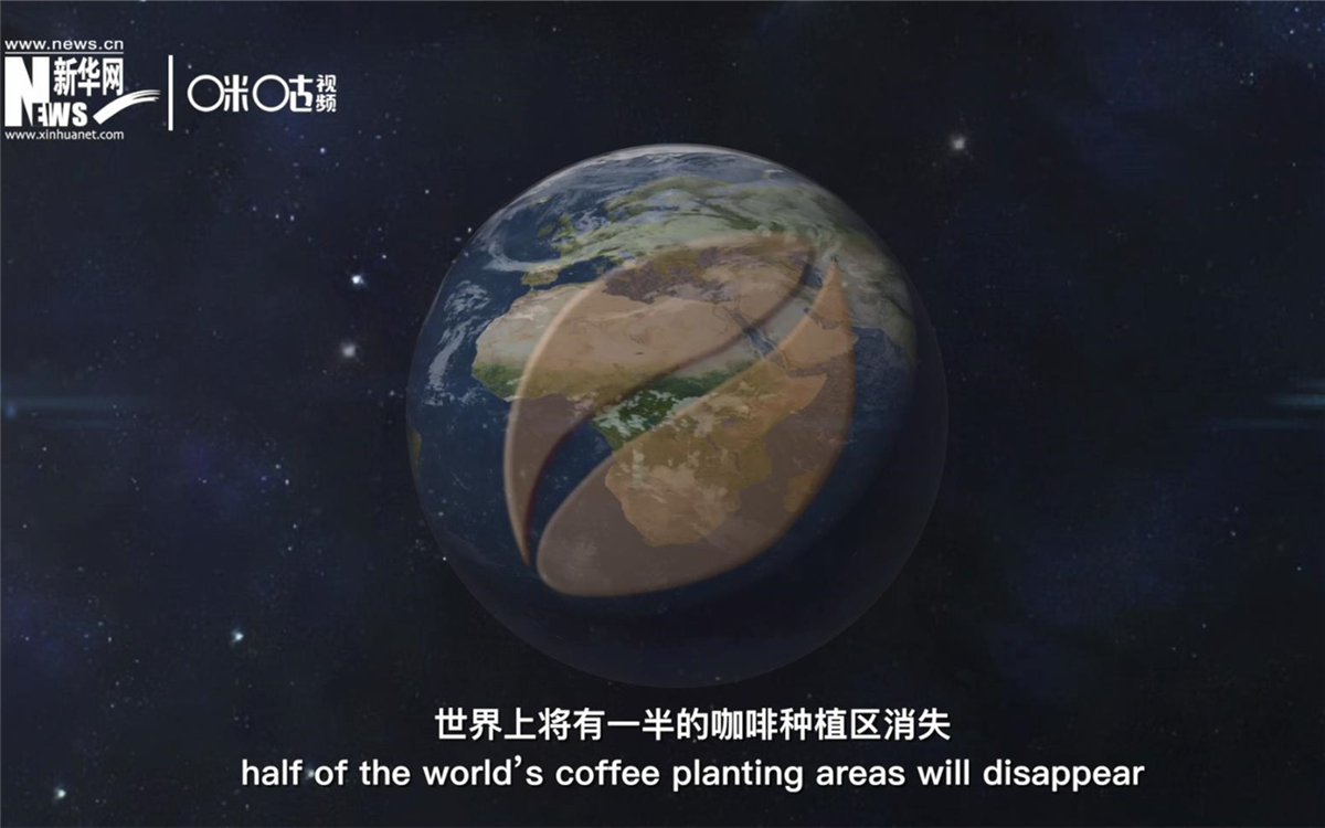 科學(xué)家預(yù)測到三十年后，世界上將有一半的咖啡種植區(qū)消失