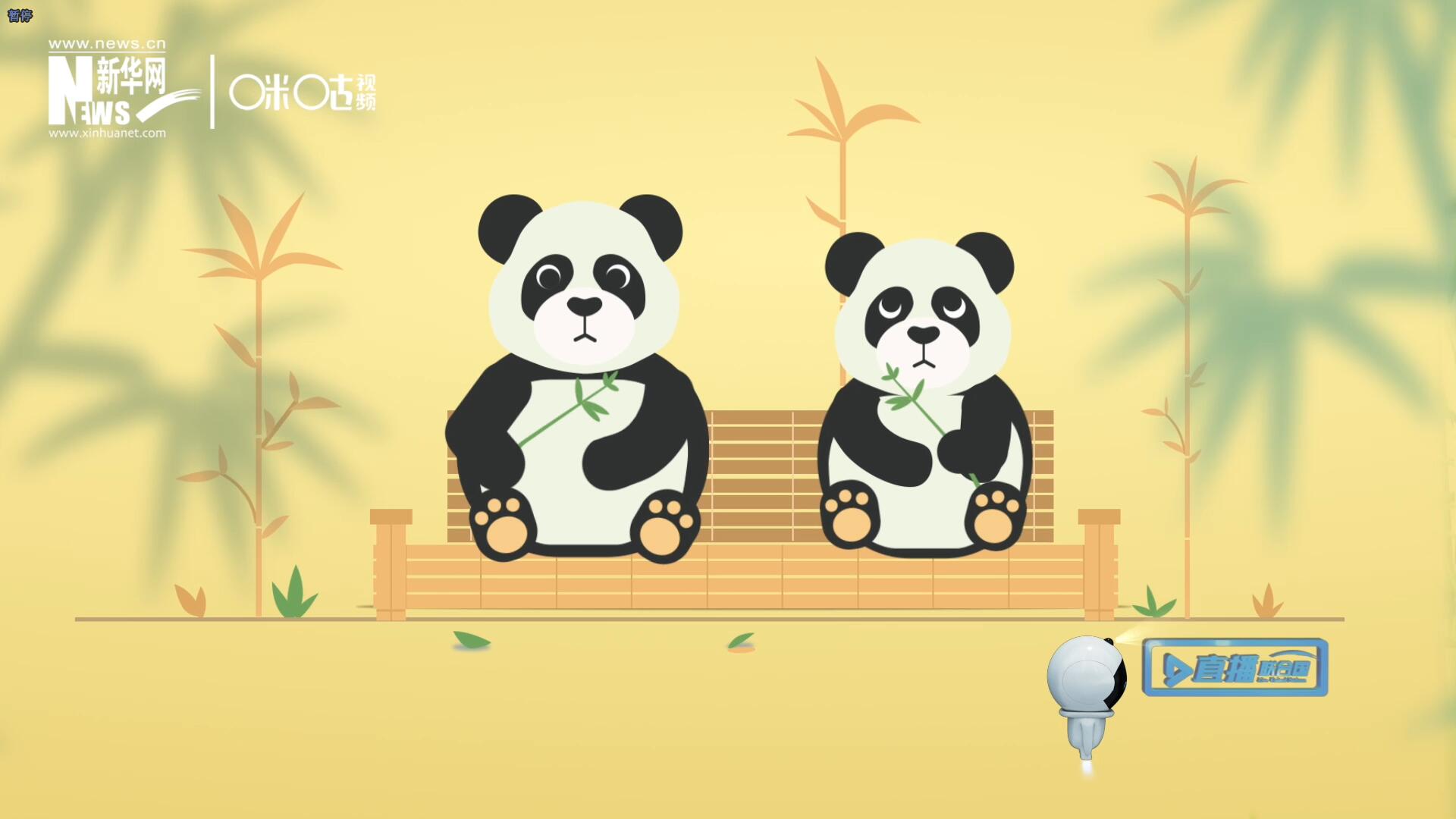 “哥哥你看，又有人來看我們了。”“有什么奇怪的，我們可是聯(lián)合國‘最萌’的大使??！”。