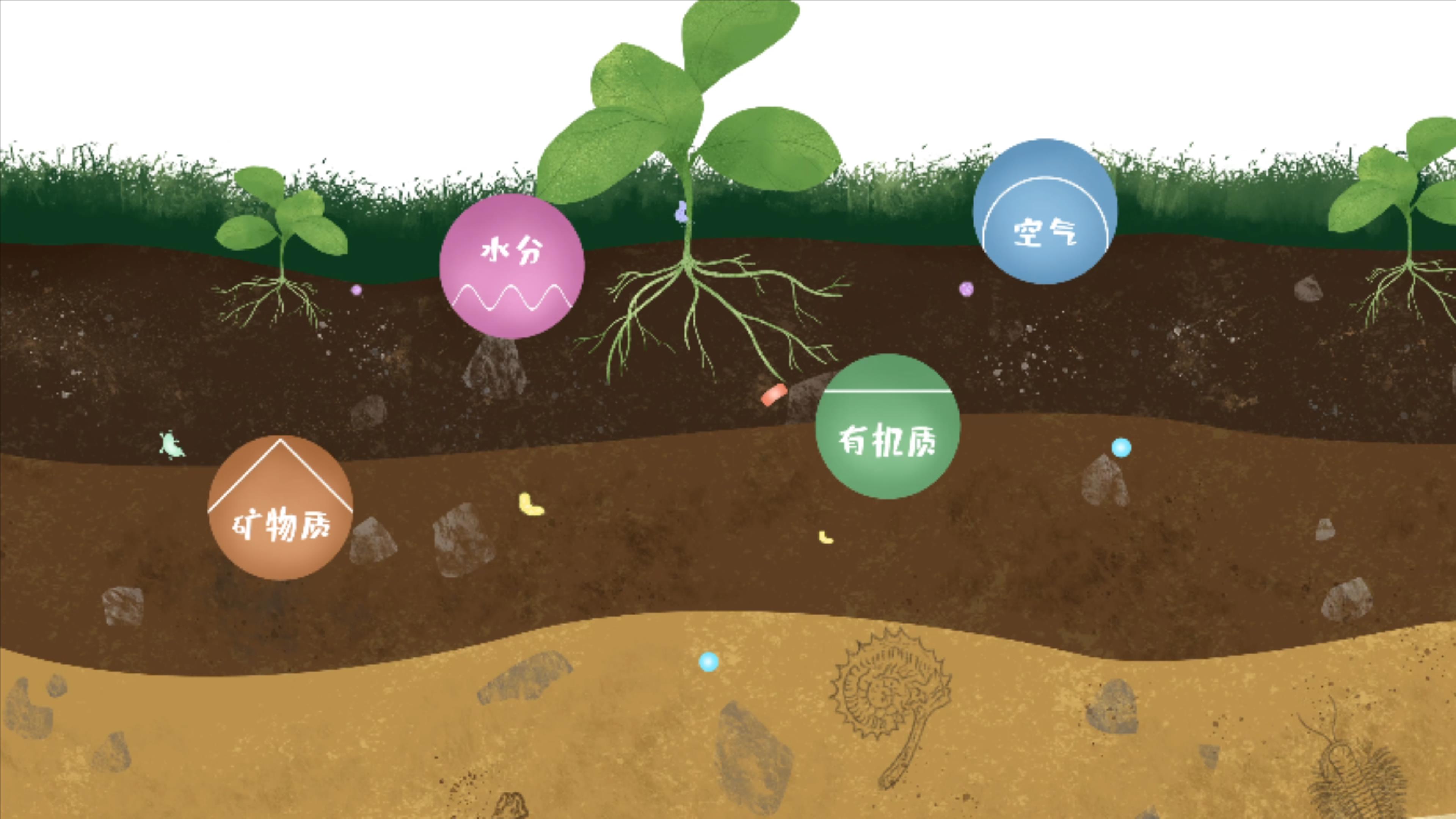 土壤由礦物質(zhì)、有機(jī)質(zhì)、水分、空氣及包括微生物在內(nèi)的生物體等組成