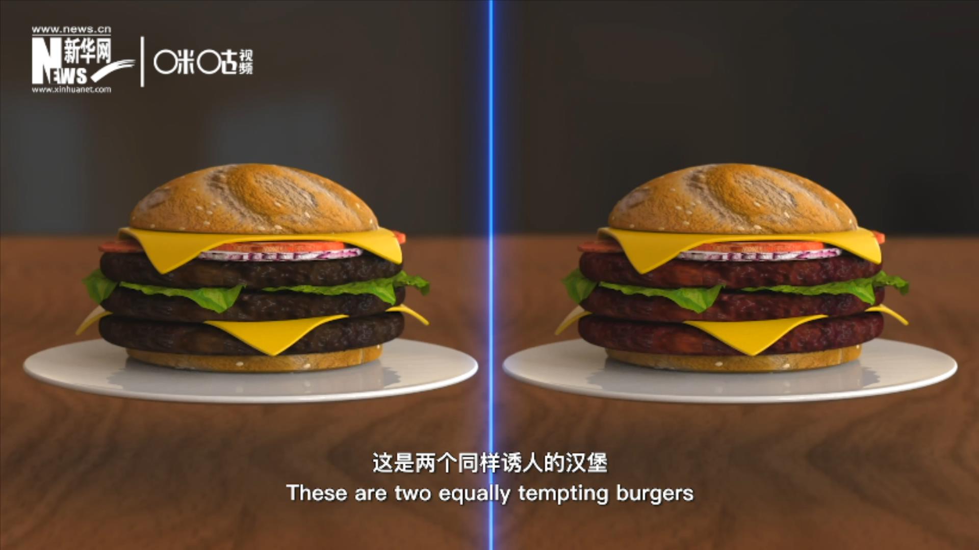 人造肉漢堡能在生產(chǎn)過程中節(jié)約水、土地、排放以及能量