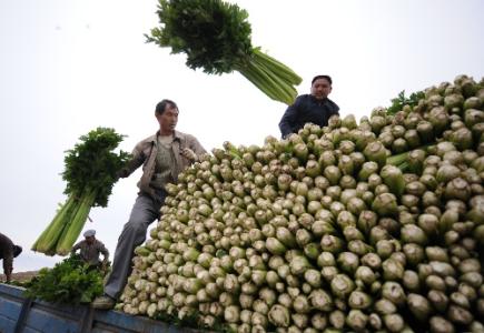 劉永富：發(fā)展產(chǎn)業(yè)脫貧仍是精準(zhǔn)扶貧、精準(zhǔn)脫貧主攻方向