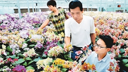 臺商眼中的改革開放：風景這邊獨好 要去，要去，要去！
