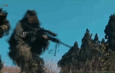 突入，擊斃！直擊武警特戰(zhàn)反劫持演練！
