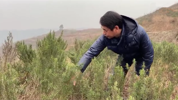 新春走基層｜脫貧后，駐村扶貧隊長在干啥？