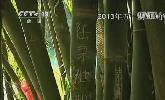 “五一”去哪？：快樂出行 文明旅游