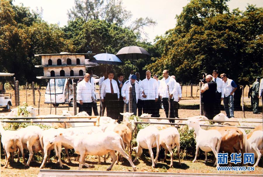 當(dāng)?shù)貢r(shí)間7月22日，國家主席習(xí)近平在哈瓦那親切探望古巴革命領(lǐng)袖菲德爾·卡斯特羅。 新華社發(fā)